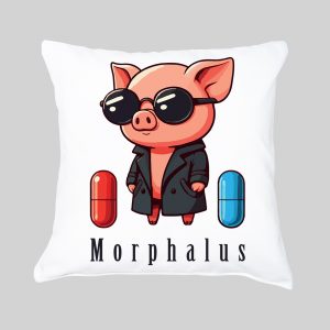 Housse de coussin Cochon ~ Humours