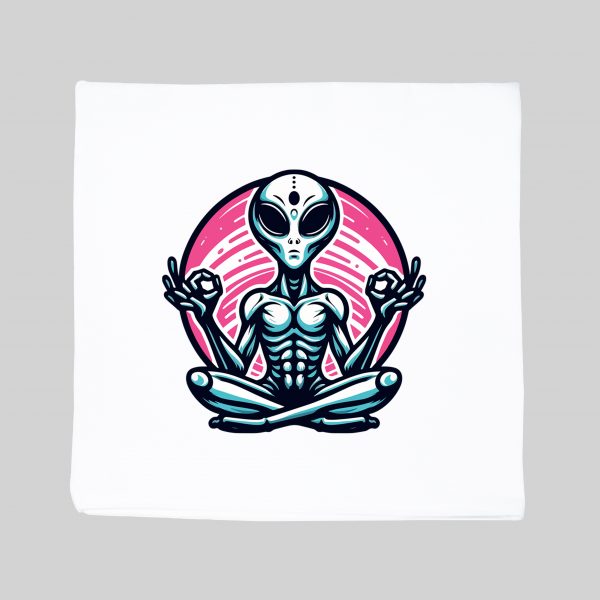 Housse de coussin Ovni ~ Spirituelles Zen