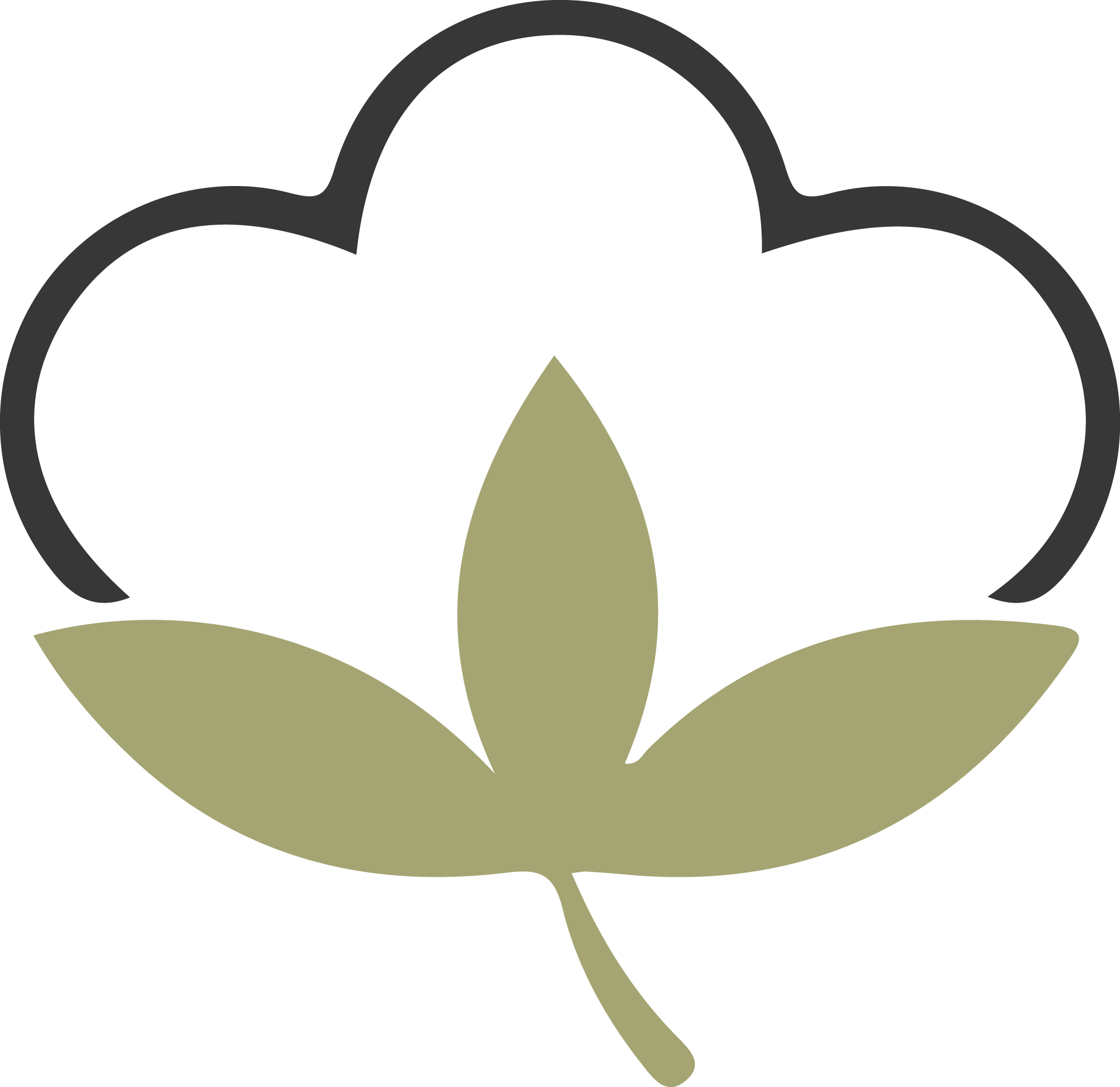 fleur de coton